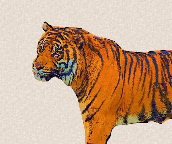 Tiger Art Illustration Old Drawing — Stock Photo, Image