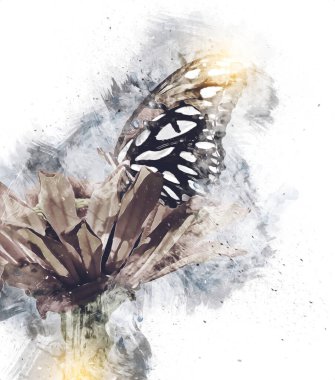 Kelebek çizimi, sanat, antika, antika resim çizimi