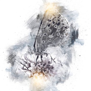 Kelebek çizimi, sanat, antika, antika resim çizimi