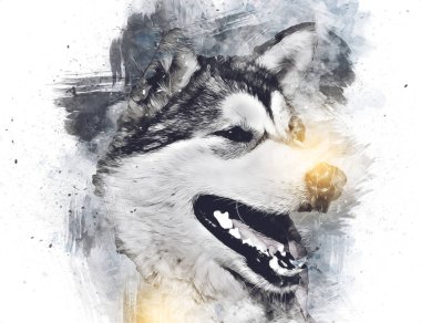 köpek Alaska malamute, illüstrasyon, sanat, vintage, retro, antika resim çizimi