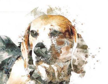 Güzel av köpeği izole edilmiş, resim, sanat, antika, antika resim çizimi.