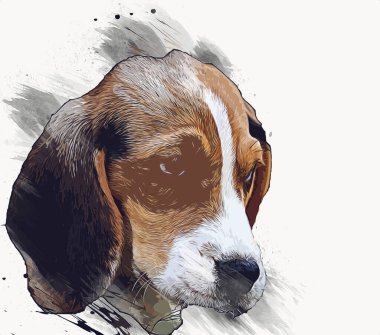 Güzel av köpeği izole edilmiş, resim, sanat, antika, antika resim çizimi.