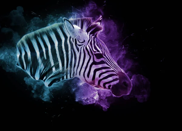 Ritning Zebra Skiss Afrikanska Däggdjur Illustration — Stockfoto