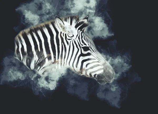 Disegno Zebra Schizzo Illustrazione Dei Mammiferi Africani — Foto Stock