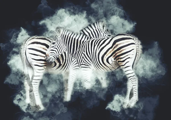 Dessin Zebra Croquis Illustration Mammifères Africains — Photo