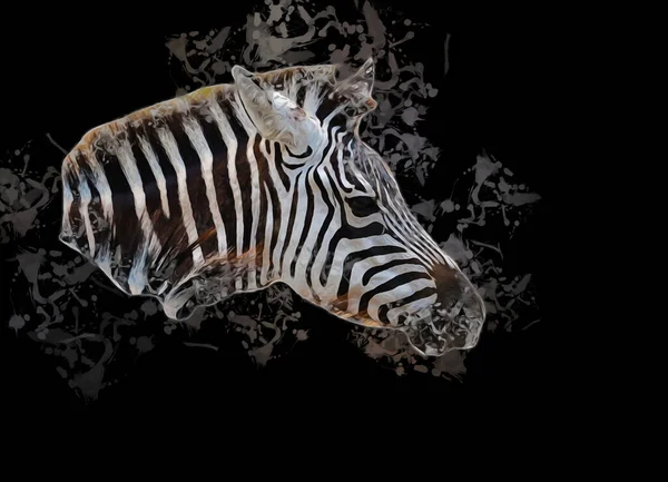 Disegno Zebra Schizzo Illustrazione Dei Mammiferi Africani — Foto Stock