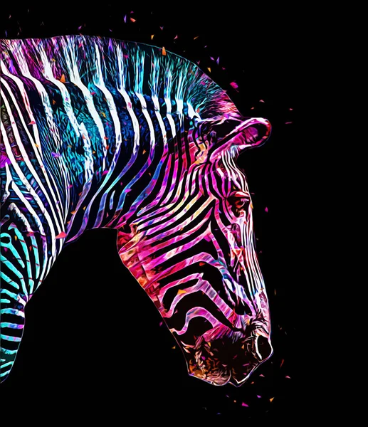 Ritning Zebra Skiss Afrikanska Däggdjur Illustration — Stockfoto