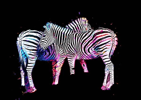 Ritning Zebra Skiss Afrikanska Däggdjur Illustration — Stockfoto