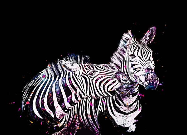 Ritning Zebra Skiss Afrikanska Däggdjur Illustration — Stockfoto