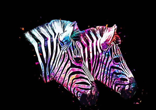 Ritning Zebra Skiss Afrikanska Däggdjur Illustration — Stockfoto