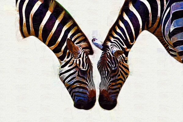 Desenho Zebra Esboço Ilustração Mamíferos Africanos — Fotografia de Stock