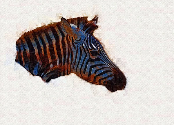 Малюнок Зебри Нарис Африканського Ссавця — стокове фото