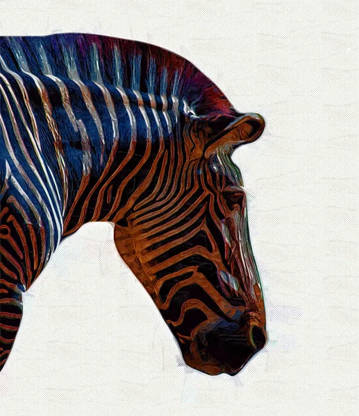 Tekening Van Zebra Schets Van Afrikaanse Zoogdieren Illustratie — Stockfoto