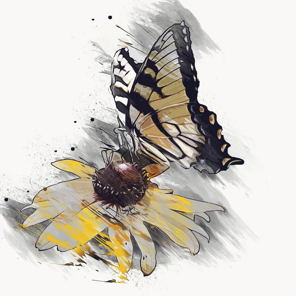 Butterfly Illustration Art Vintage Retro Antique Drawing Painting Sketch — Stock Photo, Image