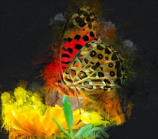 Schmetterling Illustration Kunst Jahrgang Retro Antike Zeichnung Malerei Skizze — Stockfoto