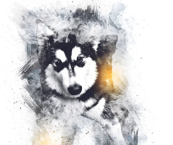 Hond Alaska Malamute Illustratie Kunst Retro Antieke Tekening Schilderij Schets — Stockfoto