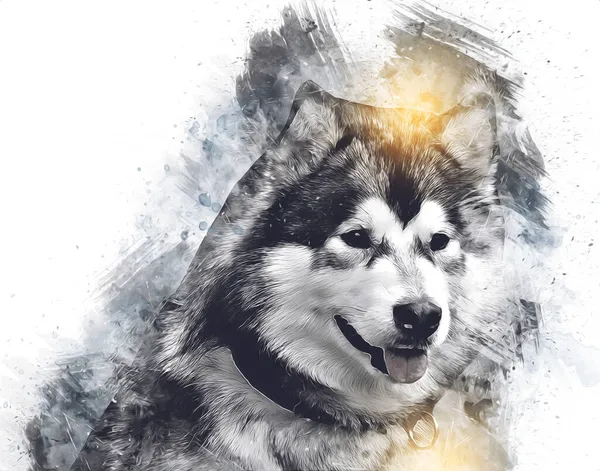 Hond Alaska Malamute Illustratie Kunst Retro Antieke Tekening Schilderij Schets — Stockfoto