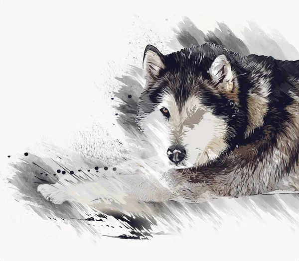 Köpek Alaska Malamute Illüstrasyon Sanat Vintage Retro Antika Resim Çizimi — Stok fotoğraf