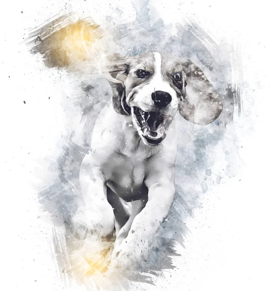 Красива Бігль Собака Ізольована Ілюстрація Мистецтво Вінтаж Ретро Антикварний Малюнок — стокове фото
