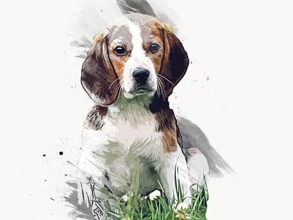 Gyönyörű Beagle Kutya Elszigetelt Illusztráció Művészet Szüret Retro Antik Rajz — Stock Fotó