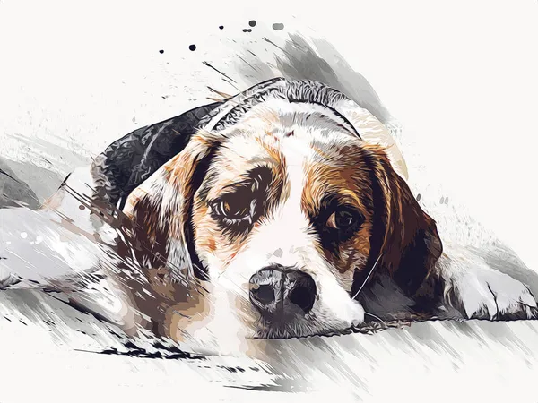 Mooie Beagle Hond Geïsoleerd Illustratie Kunst Retro Antieke Tekening Schilderij — Stockfoto