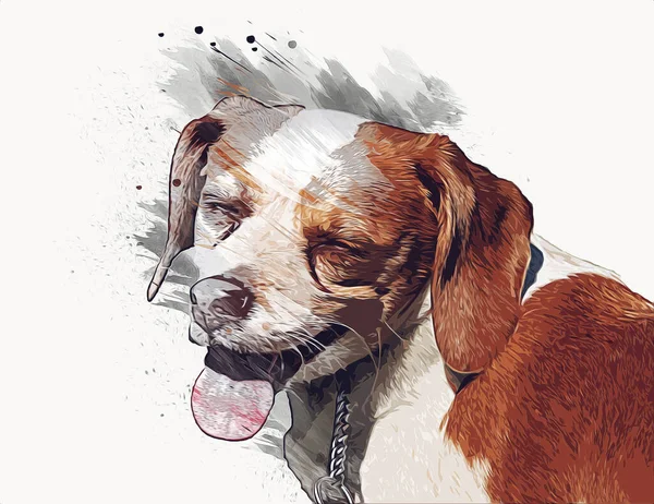 Vacker Beagle Hund Isolerad Illustration Konst Vintage Retro Antik Teckning — Stockfoto