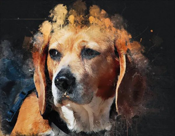 Gyönyörű Beagle Kutya Elszigetelt Illusztráció Művészet Szüret Retro Antik Rajz — Stock Fotó