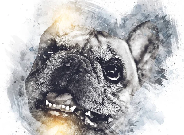 Mooie Bulldog Hond Geïsoleerd Illustratie Kunst Retro Antieke Tekening Schilderij — Stockfoto