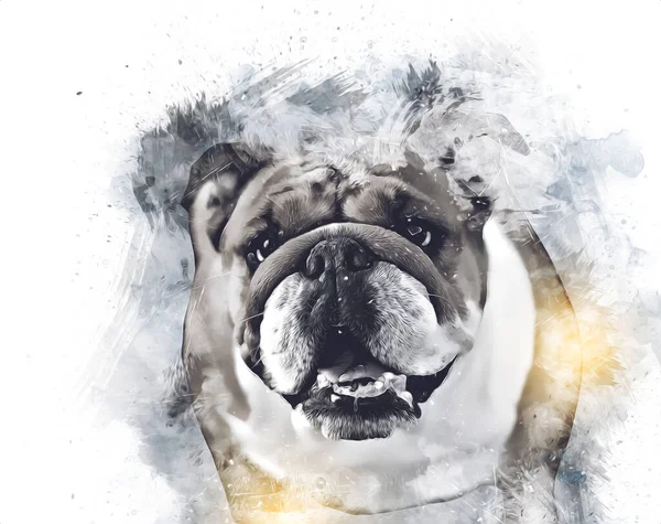 Hermoso Bulldog Perro Aislado Ilustración Arte Vendimia Retro Dibujo Antiguo —  Fotos de Stock