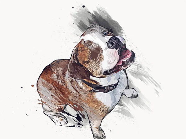 Mooie Bulldog Hond Geïsoleerd Illustratie Kunst Retro Antieke Tekening Schilderij — Stockfoto