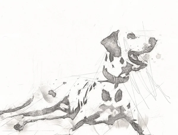 Dalmatinischer Hund Sitzend Die Kamera Schauend Illustration Kunst Vintage Retro — Stockfoto
