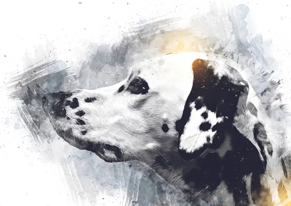 Dalmatische Hond Zittend Kijkend Naar Camera Illustratie Kunst Retro Antieke — Stockfoto