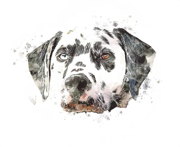 Dalmatische Hond Zittend Kijkend Naar Camera Illustratie Kunst Retro Antieke — Stockfoto