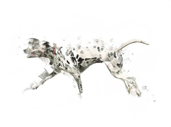 Dalmatinischer Hund Sitzend Die Kamera Schauend Illustration Kunst Vintage Retro — Stockfoto