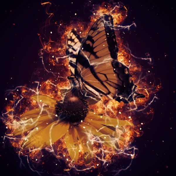 Dibujo mariposa fotos de stock, imágenes de Dibujo mariposa sin royalties | Depositphotos Dibujo mariposa fotos de stock, imágenes de Dibujo mariposa sin royalties | Depositphotos
