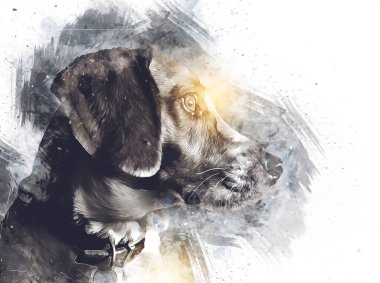 Köpek yetiştiricisi Amerikan Foxhound, illüstrasyon, sanat, klasik, antika resim çizimi