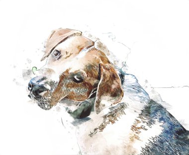 Köpek yetiştiricisi Amerikan Foxhound, illüstrasyon, sanat, klasik, antika resim çizimi