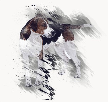 Köpek yetiştiricisi Amerikan Foxhound, illüstrasyon, sanat, klasik, antika resim çizimi