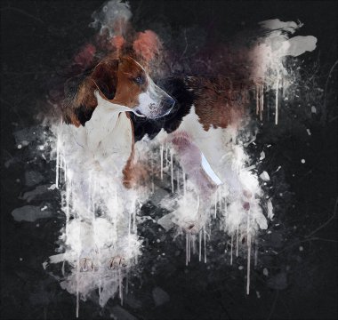 Köpek yetiştiricisi Amerikan Foxhound, illüstrasyon, sanat, klasik, antika resim çizimi