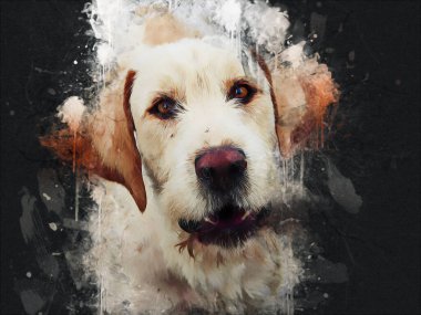 Köpek yetiştiricisi Amerikan Foxhound, illüstrasyon, sanat, klasik, antika resim çizimi