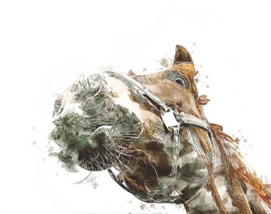 Renkli at resmi grunge resmi