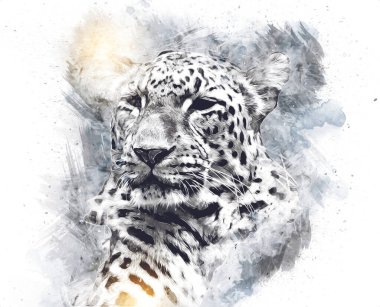 Namibya 'daki Leopar, resim, sanat, antika, antika resim çizimi