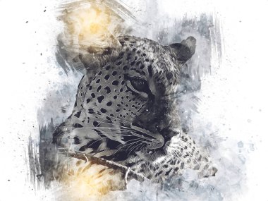 Namibya 'daki Leopar, resim, sanat, antika, antika resim çizimi