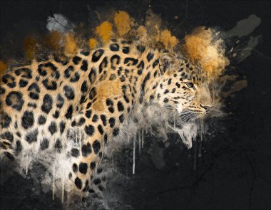 Namibya 'daki Leopar, resim, sanat, antika, antika resim çizimi