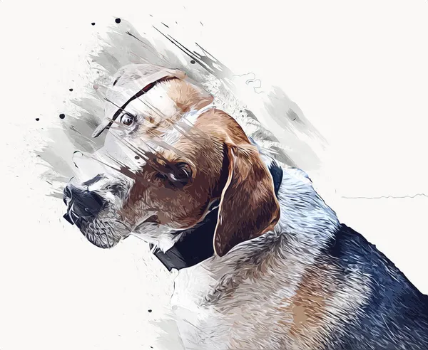 Raza Perro American Foxhound Ilustración Arte Vendimia Retro Dibujo Antiguo —  Fotos de Stock