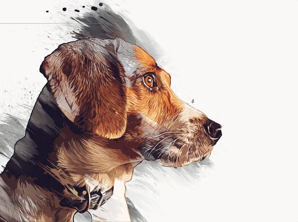 Raza Perro American Foxhound Ilustración Arte Vendimia Retro Dibujo Antiguo — Foto de Stock