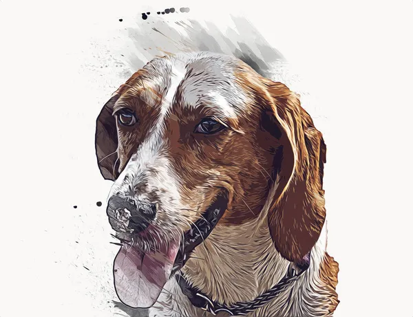 Raza Perro American Foxhound Ilustración Arte Vendimia Retro Dibujo Antiguo —  Fotos de Stock