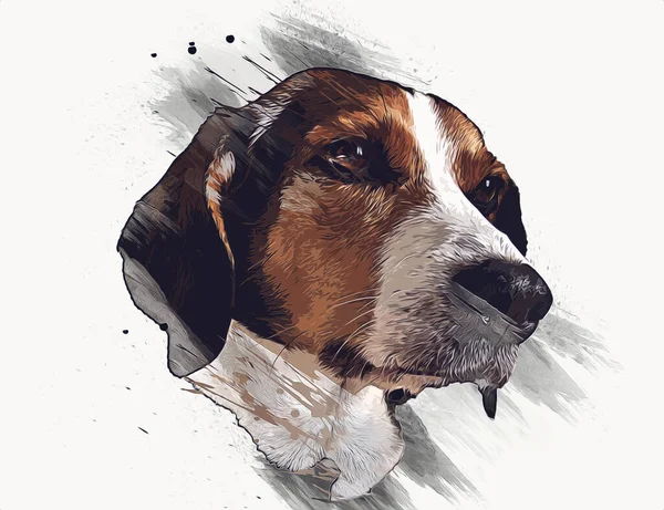 Pes Plemeno Americký Foxhound Ilustrace Umění Vintage Retro Starožitné Kreslení — Stock fotografie