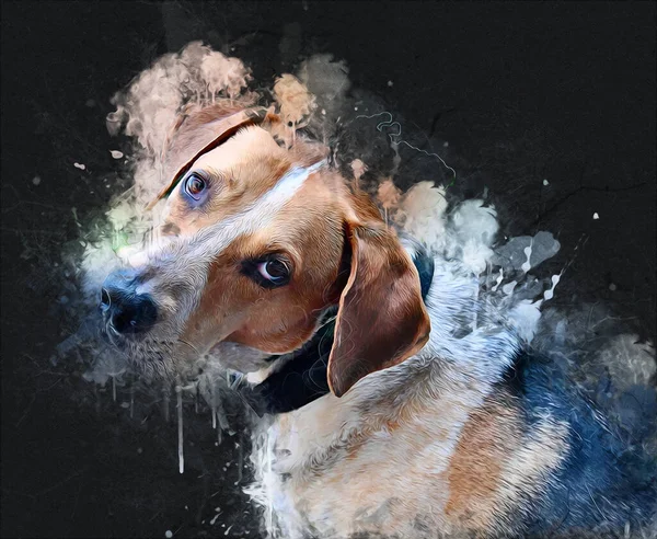 아메리칸 하운드 American Foxhound 빈티지 골동품 스케치를 — 스톡 사진