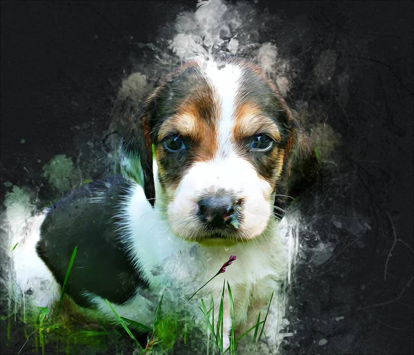 Pies Rasa Amerikanka Foxhound Ilustracja Sztuka Vintage Retro Antyczny Rysunek — Zdjęcie stockowe